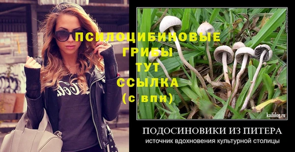 мет Аркадак